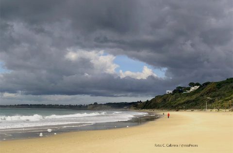 Playa de las Redes en El Puerto de Santa María /C. Cabrera