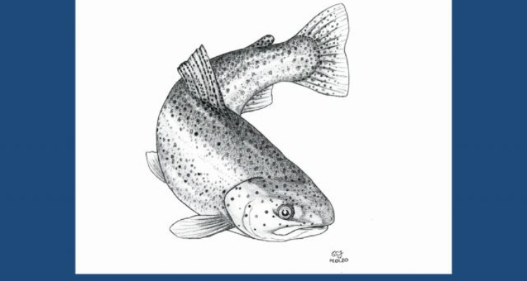 Portada Manual Trout Welfare de NOFIMA Portada Manual Trout Welfare de NOFIMA