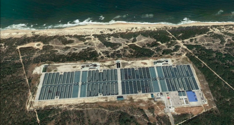 praia-mira-portugalpiscifactoria-rodaballos