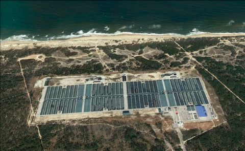 praia-mira-portugalpiscifactoria-rodaballos