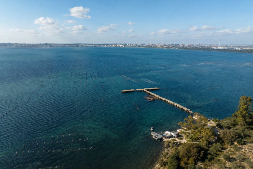 Primo Saco, mitilicoltura a Taranto