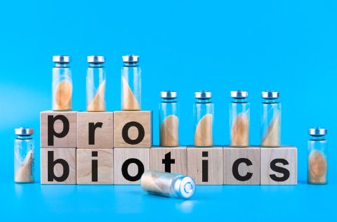 probioticos