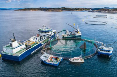 Uno studio propone di integrare LCA e servizi ecosistemici per valutare meglio l’impatto dell’acquacoltura mediterranea
