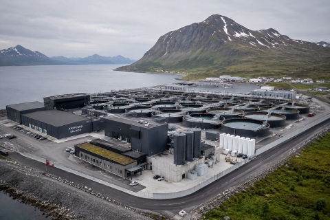 Producción salmón Noruega