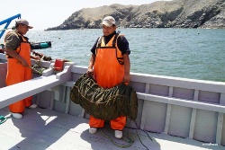Comienza el “Año Internacional de la Pesca y la Acuicultura Artesanal”