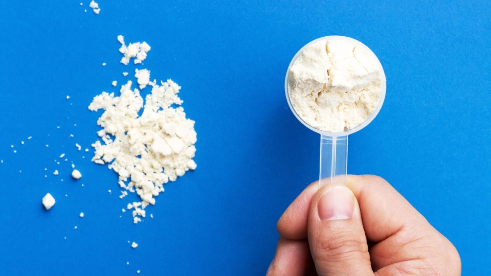 Polvo de proteina