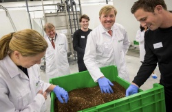 La mejora genética de la producción también se aplica a los insectos para piensos