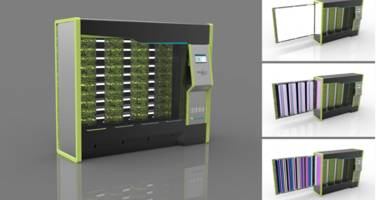 prototipo-fotobiorreactor-aqualgae