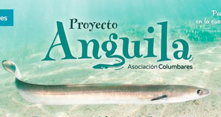 proyecto-columbares-anguila