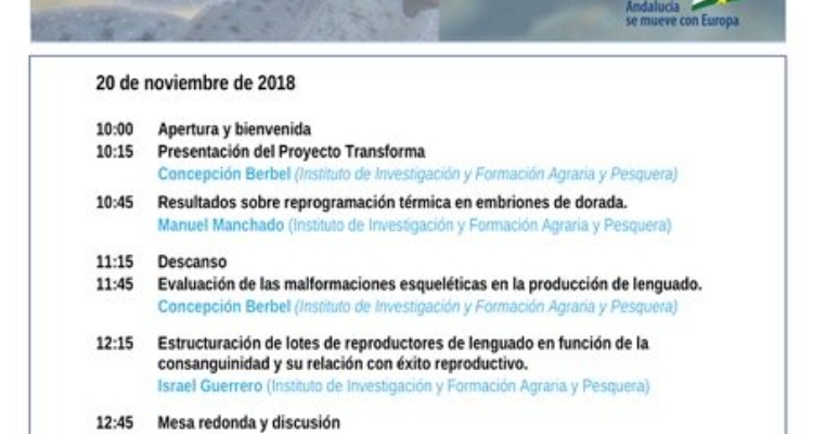 proyecto-transforma-programa-jornada-20nov