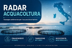 Dai bandi FEAMPA alla decarbonizzazione: nuove traiettorie per l’acquacoltura europea