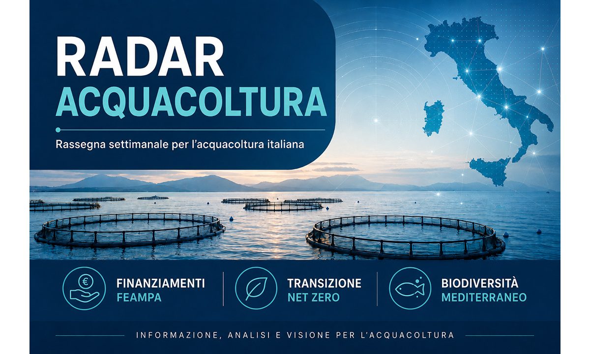 Veneto, aperto il bando per compensare i maggiori costi di pesca e acquacoltura