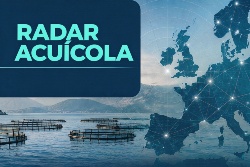 Europa refuerza gobernanza, espacio marino, sanidad y formación para una acuicultura más tecnológica