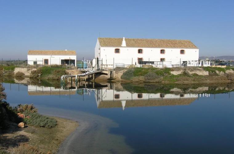 Estación de Ramalhete, Universidad del Algarve Estación de Ramalhete, Universidad del Algarve