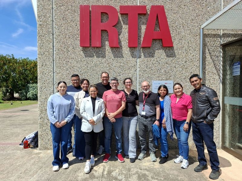 REDASI - IRTA - México