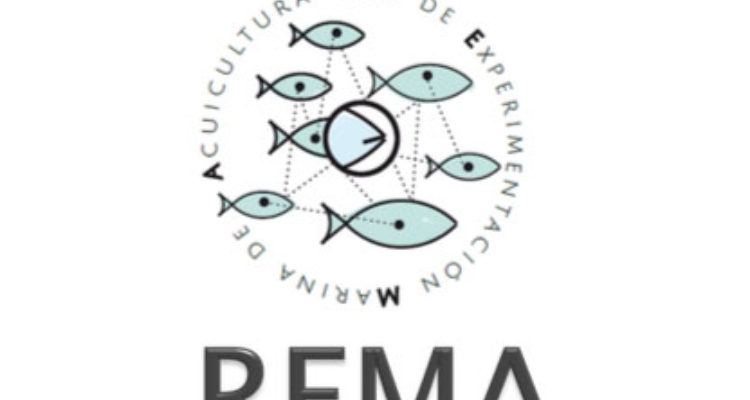 rema-logotipo