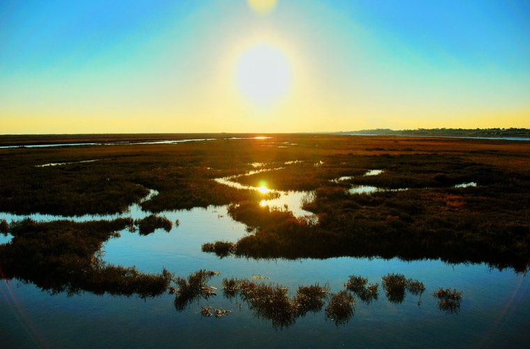 Ria Formosa, atardecer Ria Formosa, atardecer