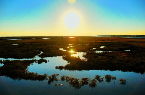 Ria Formosa, atardecer