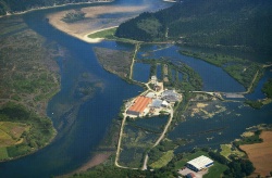 Asociación RIA muestra los resultados del proyecto de depuración “verde” en la Ría de Tina Menor