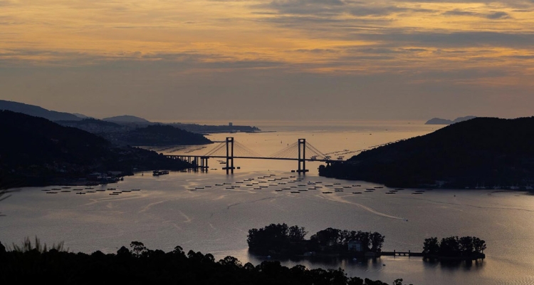 Ría de Vigo