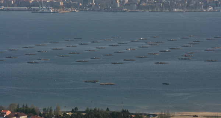 ria_arousa_bateas