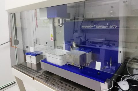 Robot siembra microalgas ICMAN-CSIC