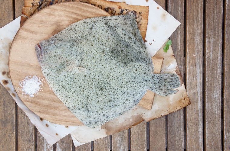 El rodaballo de acuicultura sube de 13,90 a 16,80 euros por kilogramo en Mercamadrid