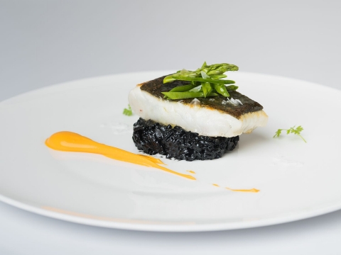 Rodaballo en los Premios Nobel 2025