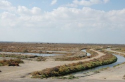 Sale adelante el plan de ordenación y el rector del Parque Natural de la Bahía de Cádiz