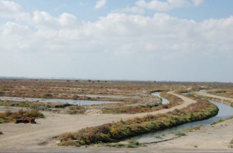 Salina la Esperanza en Cádiz