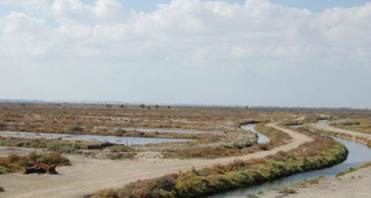 Salina la Esperanza en Cádiz Salina la Esperanza en Cádiz