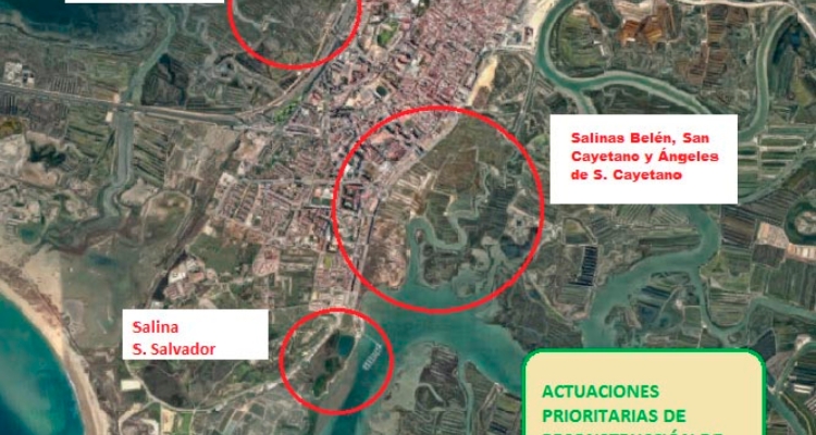salinas-sanfernando-diagnostico