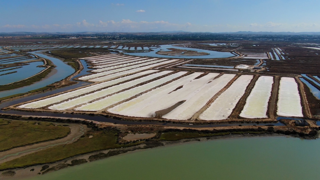 Vista aérea de salina en Bahía de Cádiz | CTAQUA