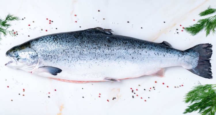 salmon-atlantico-mesa