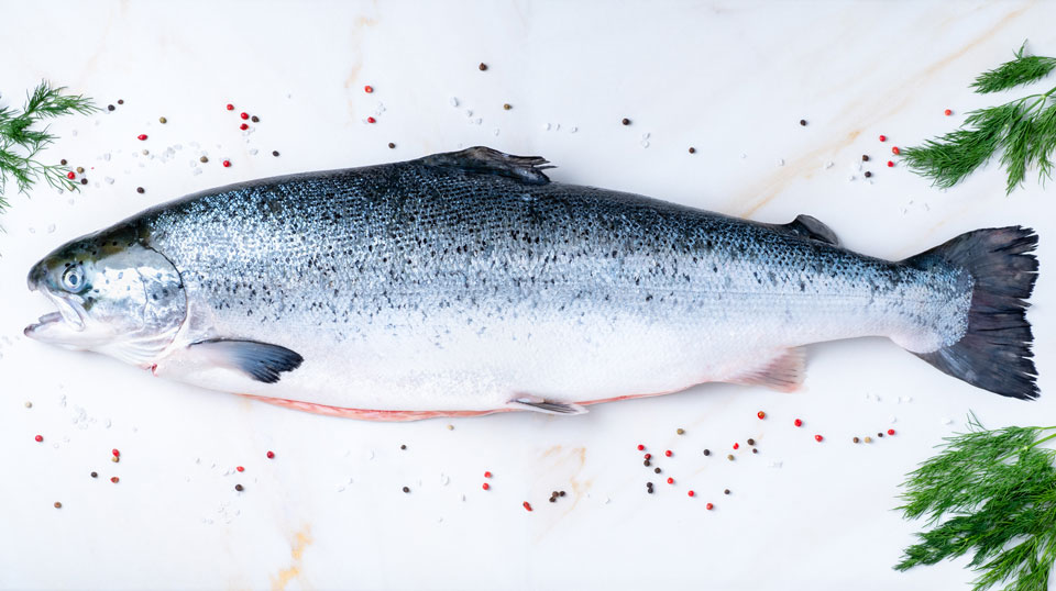 salmon-atlantico-mesa