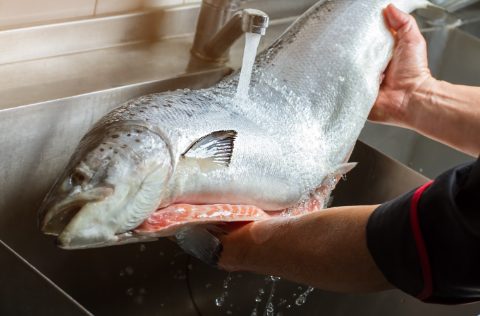 Salmón fresco bajo el grifo