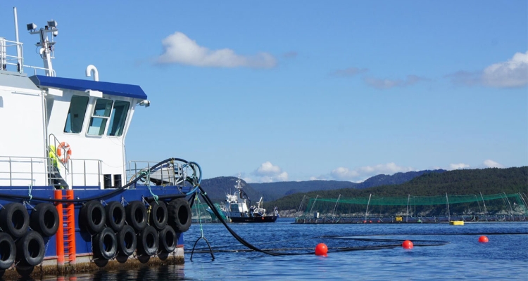 salmon-cultivo-multiexport-foods