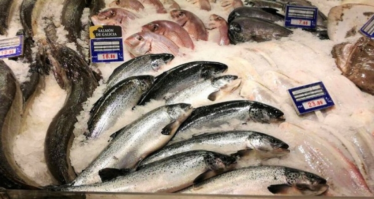 salmon-galicia-muros-oscar-san-miguel