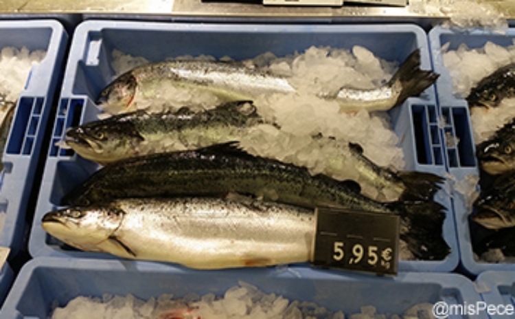 Salmón Noruego en supermercado