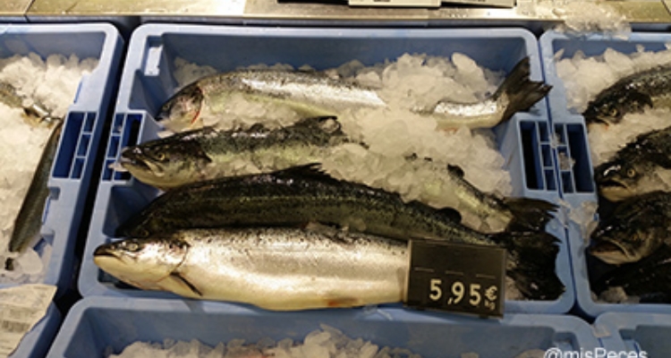 Salmón Noruego en supermercado
