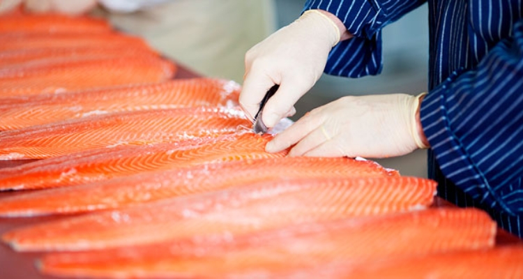 salmon-prochile-despinado