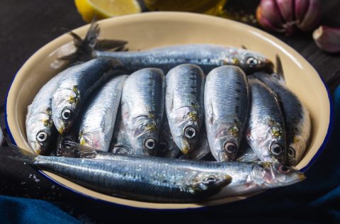 Sardinas frescas (Sardina pilchardus)