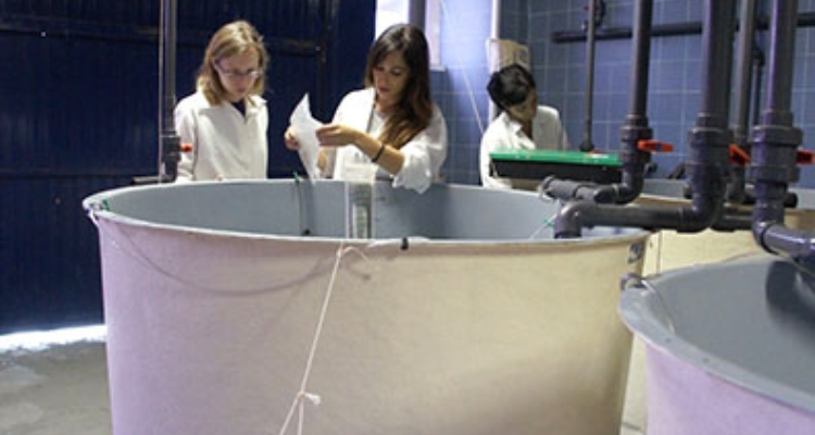 sci-cm-uca-instalaciones