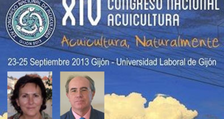 sea-consejo-direccion-xiv-cna