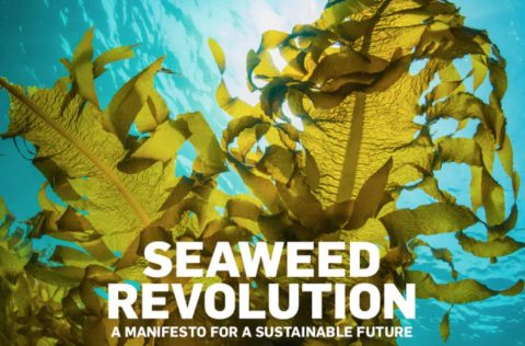Seaweed Revolution