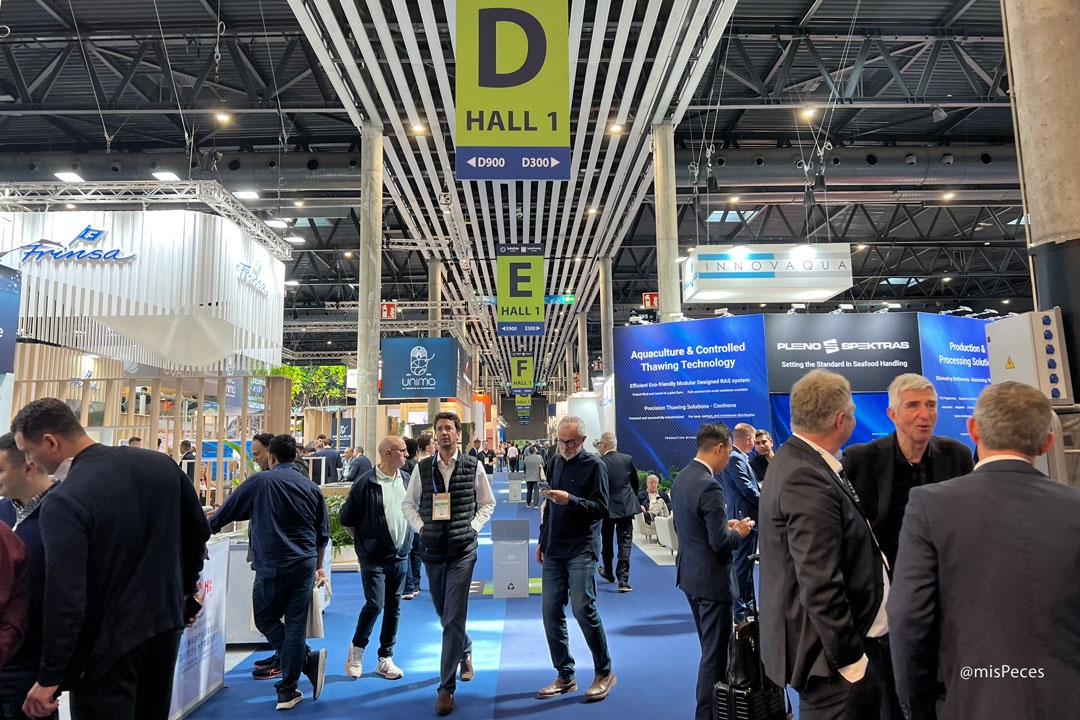 SEG 2026 | Hall 1 @misPeces