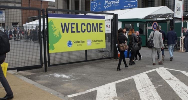 seg18-welcome