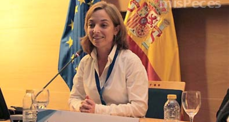 segura-angels-aecoc-nov2013