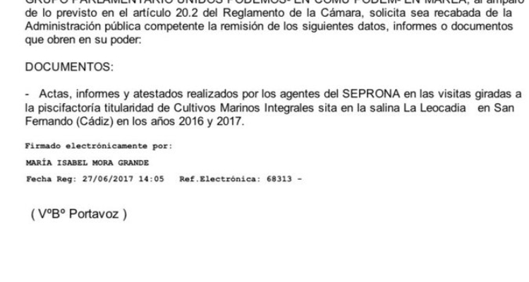 senadora-podemos-solicitud-informacion-costas