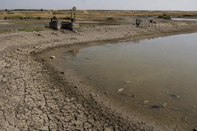 Drought turns access to water into a production risk for European freshwater aquaculture